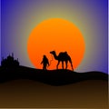 Camel in arabian desert background Desert sunset