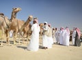 Camel Auctioneer Royalty Free Stock Photo