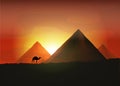 Camel on the background of the Egyptian pyramids Royalty Free Stock Photo