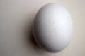 Camel-bird egg. White shard on the same background Royalty Free Stock Photo
