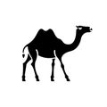 Camel black glyph icon Royalty Free Stock Photo