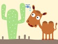 Camel and cactus