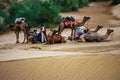 Camel camp in the desert in jaisalmer, rajasthan