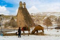 Camel Cappadocia, Turkey. Entertainment and leisure Cappadocia Turkey. Royalty Free Stock Photo