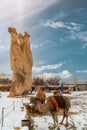 Camel Cappadocia, Turkey. Entertainment and leisure Cappadocia Turkey. Royalty Free Stock Photo