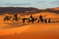 Camel caravan