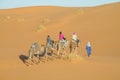 Camel caravan in Africa sand desert dunes Royalty Free Stock Photo