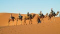 Camel caravan in Africa sand desert dunes Royalty Free Stock Photo