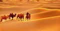Camel Caravan in the Badain Jaran Desert