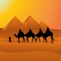 Camel Caravan Crossing Egypt Pyramid Desert Arabian vector Landscape Illustration