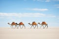 camel caravan crossing sandy dunes Royalty Free Stock Photo