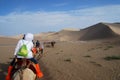 Camel caravan in the desert