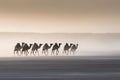 Camel caravan through desert dunes at sunrise. Amazing African Wildlife. Generative Ai Royalty Free Stock Photo