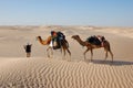 Camel caravan in desert Sahara Royalty Free Stock Photo