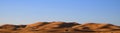 Camel caravan with a camel driver performs the transition of tourists in the Sahara Desert in Morocco Royalty Free Stock Photo