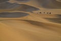 Camel caravan with drover among sand dunes