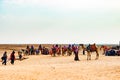 Camel caravan in Egypt