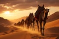 Camel caravan embarks on a journey across vast Sahara dunes