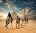 Camel caravan in Giza Royalty Free Stock Photo
