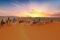 Camel caravan going through the Sahara Desert in Morocco Royalty Free Stock Photo