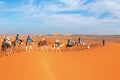 Camel caravan going through the Sahara Desert in Morocco Royalty Free Stock Photo