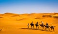 Camel caravan going through the sand dunes in beautiful Sahara Desert. Amazing view nature of Africa. Artistic picture. Beauty