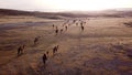 Camel caravan going through the sand dunes in the Desert. Royalty Free Stock Photo