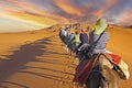 Camel caravan going through the sand dunes in the Sahara Desert, Morocco at sunset Royalty Free Stock Photo