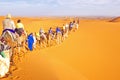 Camel caravan going through the sand dunes in the Sahara Desert Royalty Free Stock Photo