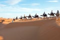 Camel caravan going through the sand dunes in the Sahara Desert, Morocco. Royalty Free Stock Photo