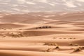 Camel caravan going through the sand dunes in the Sahara Desert. Morocco Africa. Beautiful sand dunes in the Sahara Royalty Free Stock Photo