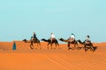 Camel caravan going through the sand dunes in the Sahara Desert. Morocco Africa. Beautiful sand dunes in the Sahara Royalty Free Stock Photo