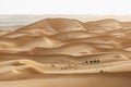 Camel caravan group in desert sand dunes Morocco, Sahara. Traditional transport Royalty Free Stock Photo