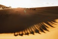 Camel caravan group in desert sand dunes at sunset light with beautiful shadow Royalty Free Stock Photo