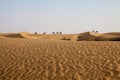 Camel Caravan Horizon Sand dunes Foreground Blue Sky