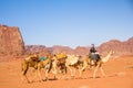 Camel caravan in majestic Wadi Rum