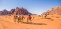 Camel caravan in majestic Wadi Rum