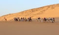 Camel caravan passing through the desert carrying tourists