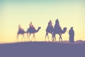 Camel caravan with people going through the sand dunes in the Sahara Desert. Morocco, Africa