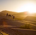 Camel caravan in the Sahara desert Royalty Free Stock Photo
