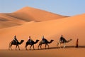 Camel Caravan in the Sahara Desert Royalty Free Stock Photo