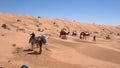 Camel caravan in the Sahara Desert