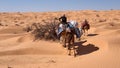 Camel caravan in the Sahara Desert