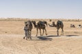 Camel caravan in the sahara desert Royalty Free Stock Photo