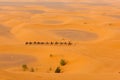 Camel caravan in Sahara desert Merzouga, Morocco Royalty Free Stock Photo