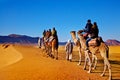 Camel caravan in the Sahara desert, Morocco. Concept of travel and exotic adventures. Royalty Free Stock Photo