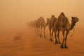 Camel caravan through the sahara desert .Generative Ai Royalty Free Stock Photo