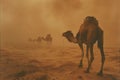 Camel caravan through the sahara desert .Generative Ai Royalty Free Stock Photo