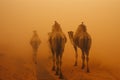 Camel caravan through the sahara desert .Generative Ai Royalty Free Stock Photo