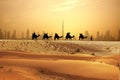 Camel caravan on sand dunes on Arabian dessert with Dubai skyline at sunset Royalty Free Stock Photo